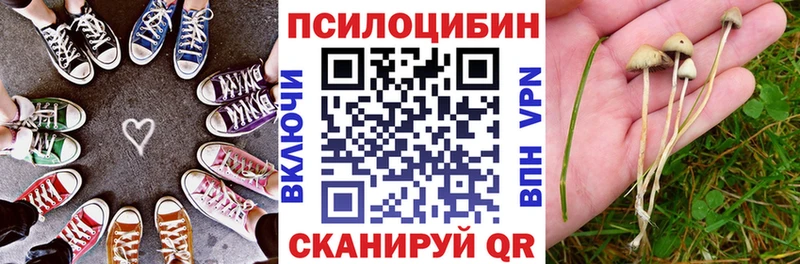 Псилоцибиновые грибы Psilocybine cubensis  Спасск 